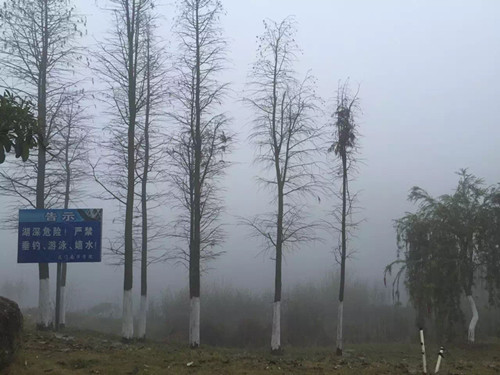 图片三_副本.jpg 图片三_副本.jpg